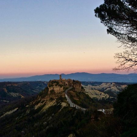Podere Porcino Civitella dʼAgliano エクステリア 写真