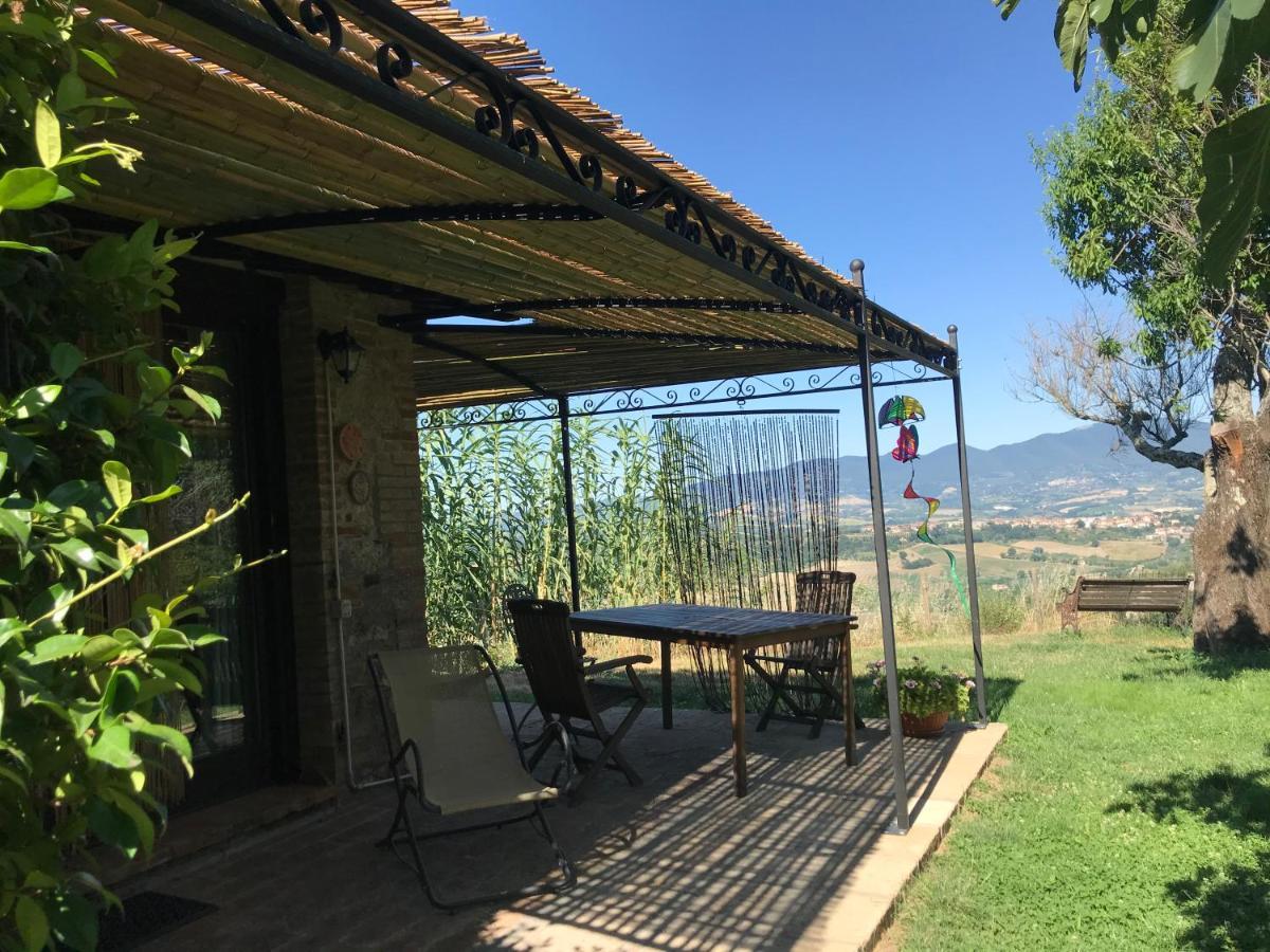 Podere Porcino Civitella dʼAgliano エクステリア 写真