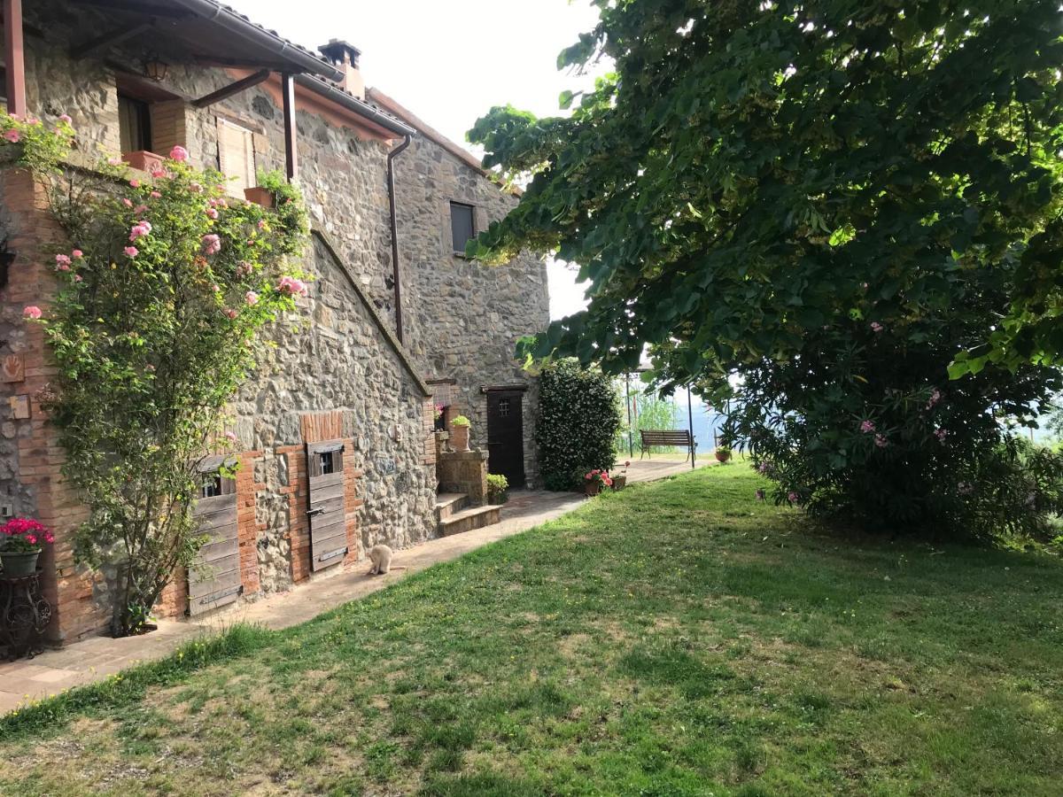 Podere Porcino Civitella dʼAgliano エクステリア 写真