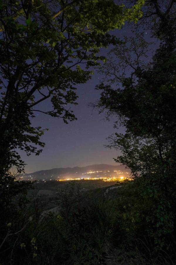 Podere Porcino Civitella dʼAgliano エクステリア 写真