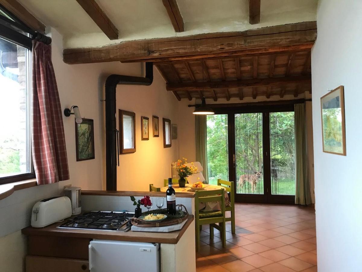 Podere Porcino Civitella dʼAgliano エクステリア 写真