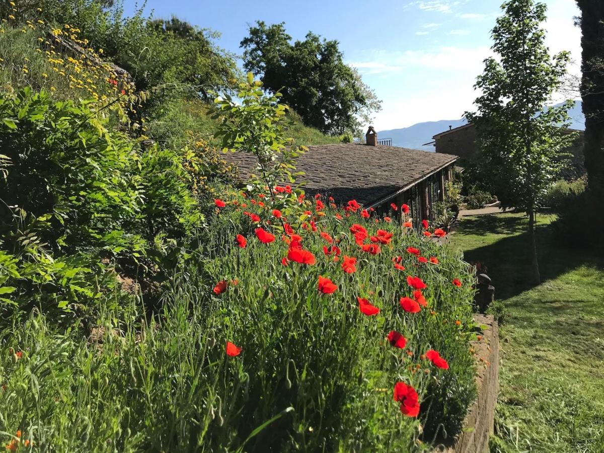 Podere Porcino Civitella dʼAgliano エクステリア 写真