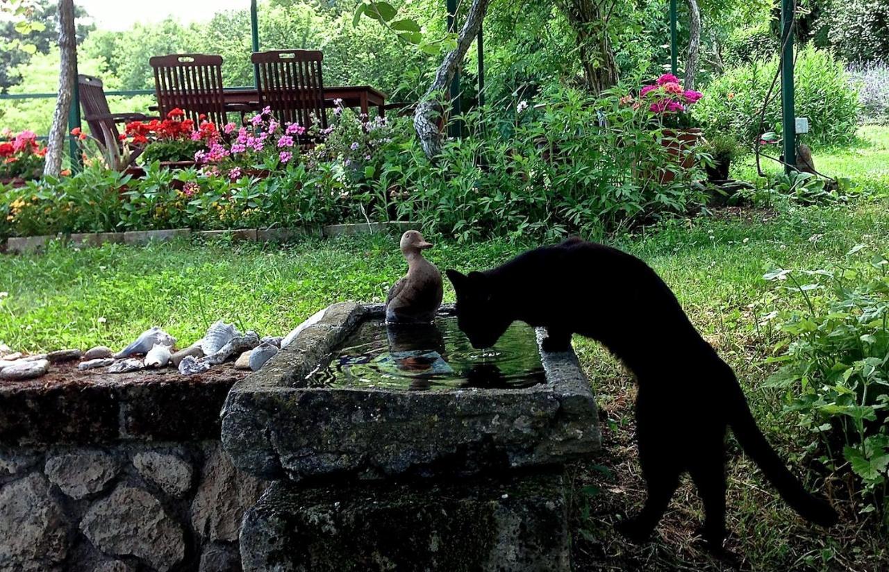 Podere Porcino Civitella dʼAgliano エクステリア 写真
