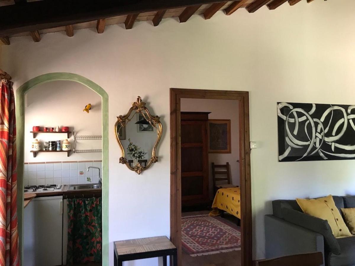 Podere Porcino Civitella dʼAgliano エクステリア 写真
