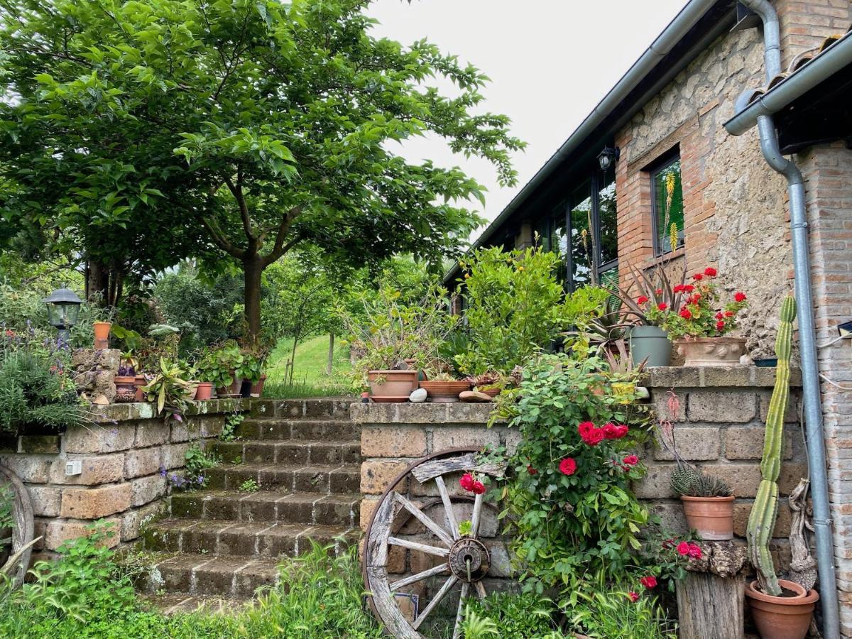 Podere Porcino Civitella dʼAgliano エクステリア 写真