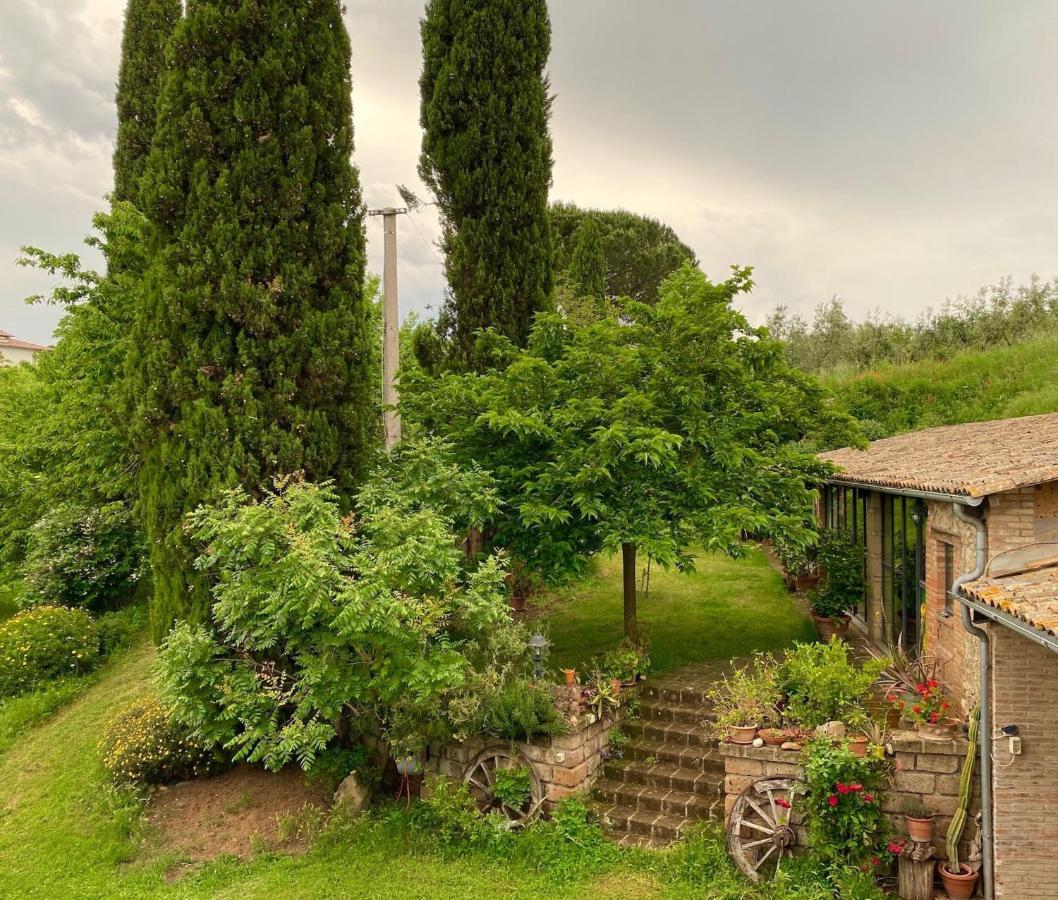 Podere Porcino Civitella dʼAgliano エクステリア 写真