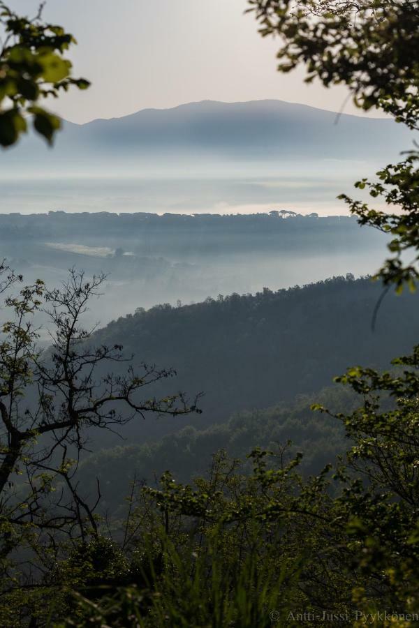 Podere Porcino Civitella dʼAgliano エクステリア 写真