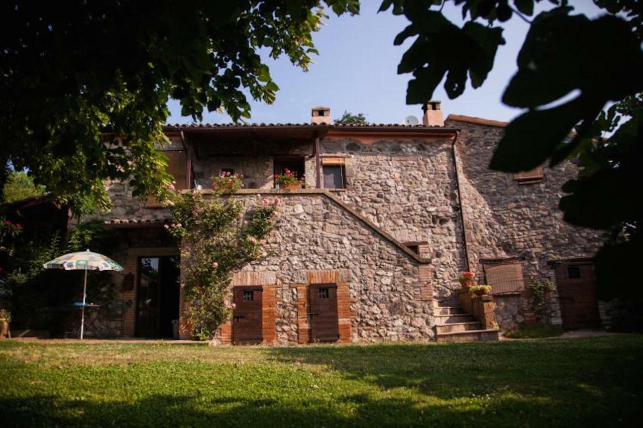 Podere Porcino Civitella dʼAgliano エクステリア 写真