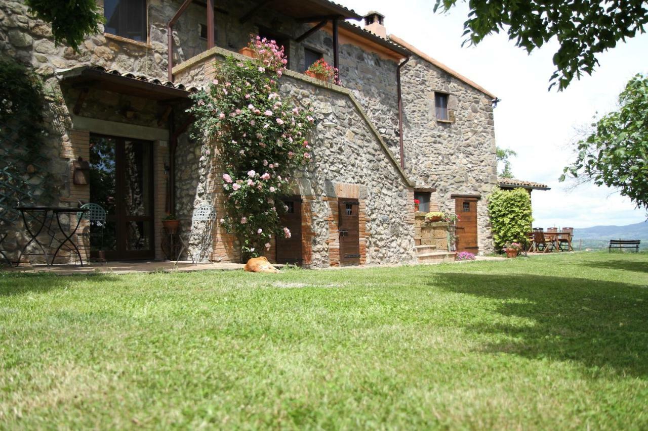 Podere Porcino Civitella dʼAgliano エクステリア 写真