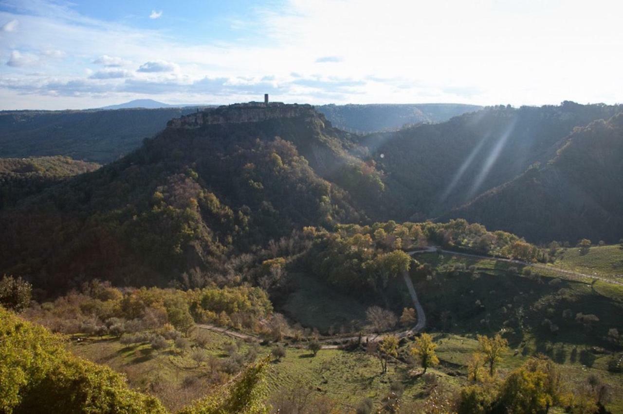Podere Porcino Civitella dʼAgliano エクステリア 写真