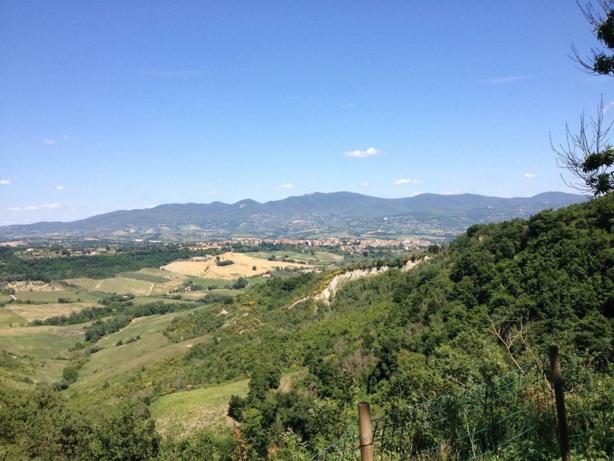 Podere Porcino Civitella dʼAgliano エクステリア 写真