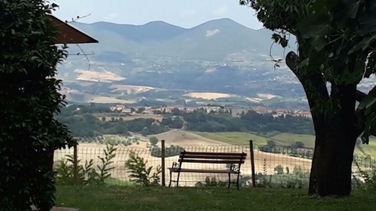 Podere Porcino Civitella dʼAgliano エクステリア 写真