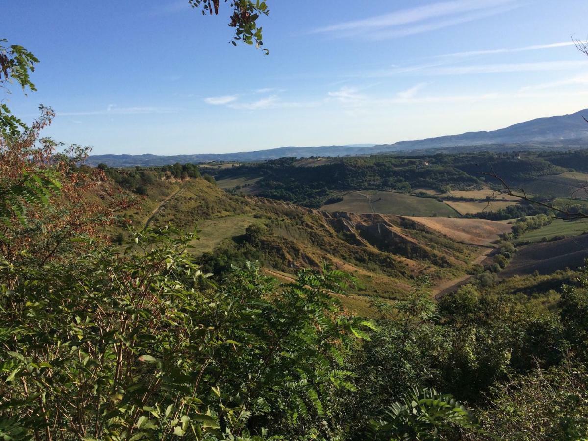Podere Porcino Civitella dʼAgliano エクステリア 写真